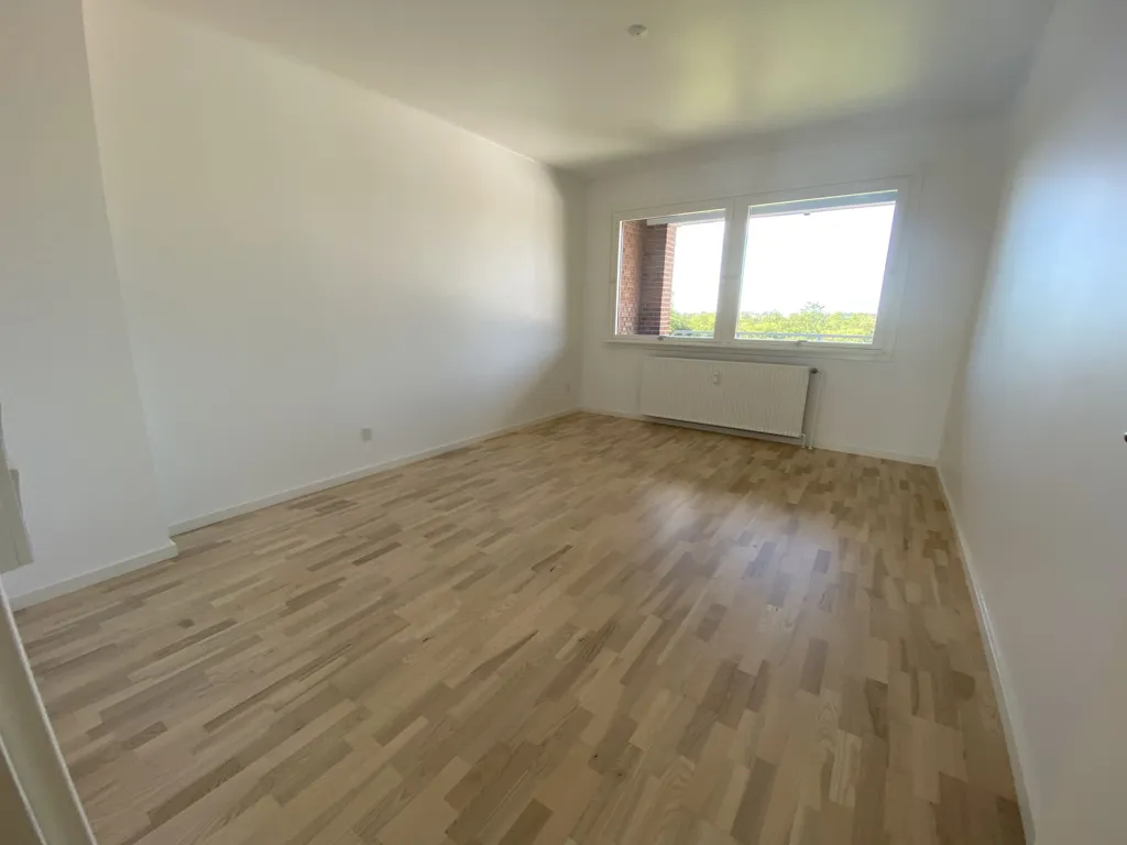 Toad - Renovated Apartment with Balcony in Denmark