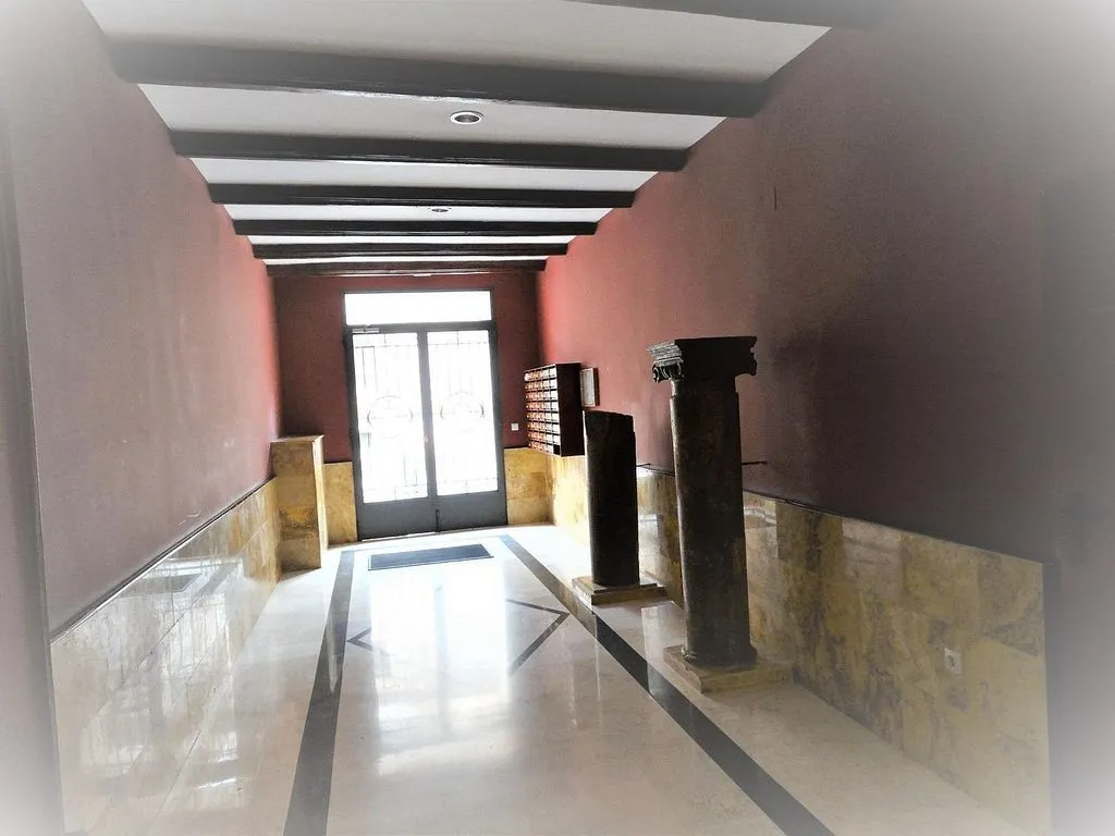 Entrée - Duplex with Balcony and Terrace in San Pablo