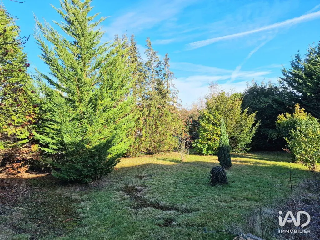 Jardin - Terrain Constructible à Villebon-sur-Yvette