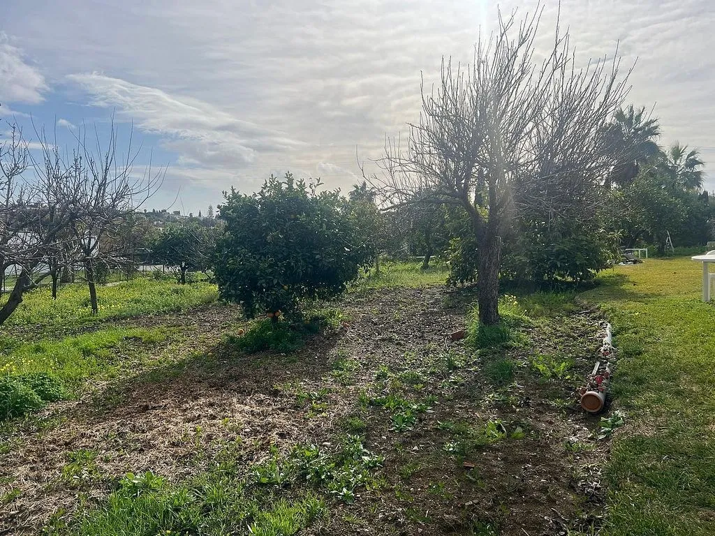 Jardin - Luxury Farmhouse with Pool in Estepona