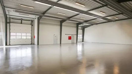 Toad - Commercial Space for Rent in Hobro