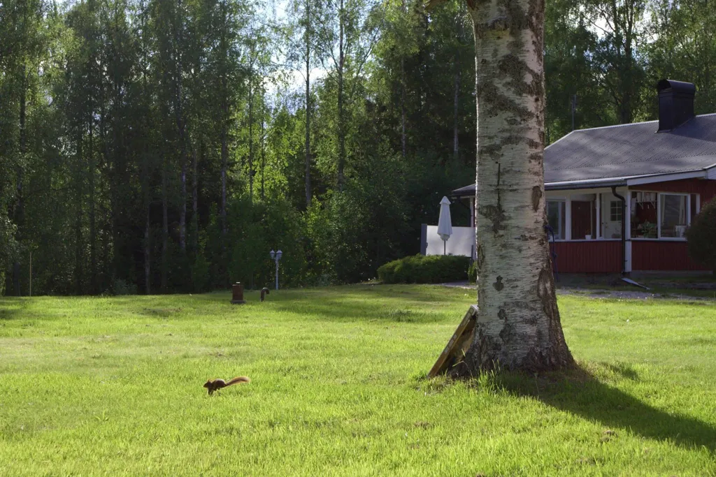 Jardin - Maison 3 pièces à Sundsvalls kommun