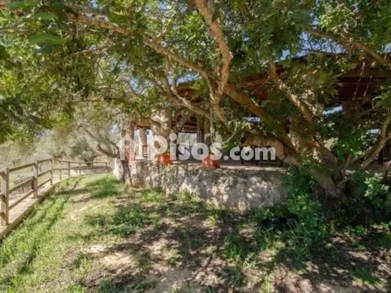 Extérieur - Rustic Farmhouse with Pool in Les Coves de Vinromà
