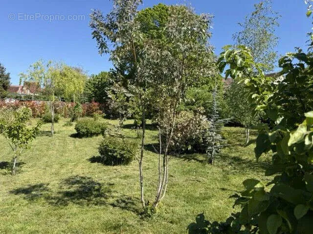 Jardin - Maison de Caractère avec Jardin à Épineuil