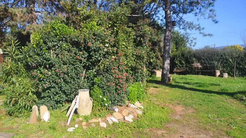 Aed - New Villa with Garden in Rosignano Marittimo