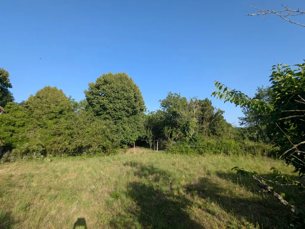 Jardin - Ensemble de 2 Maisons à Rénover dans un Environnement Verdoyant