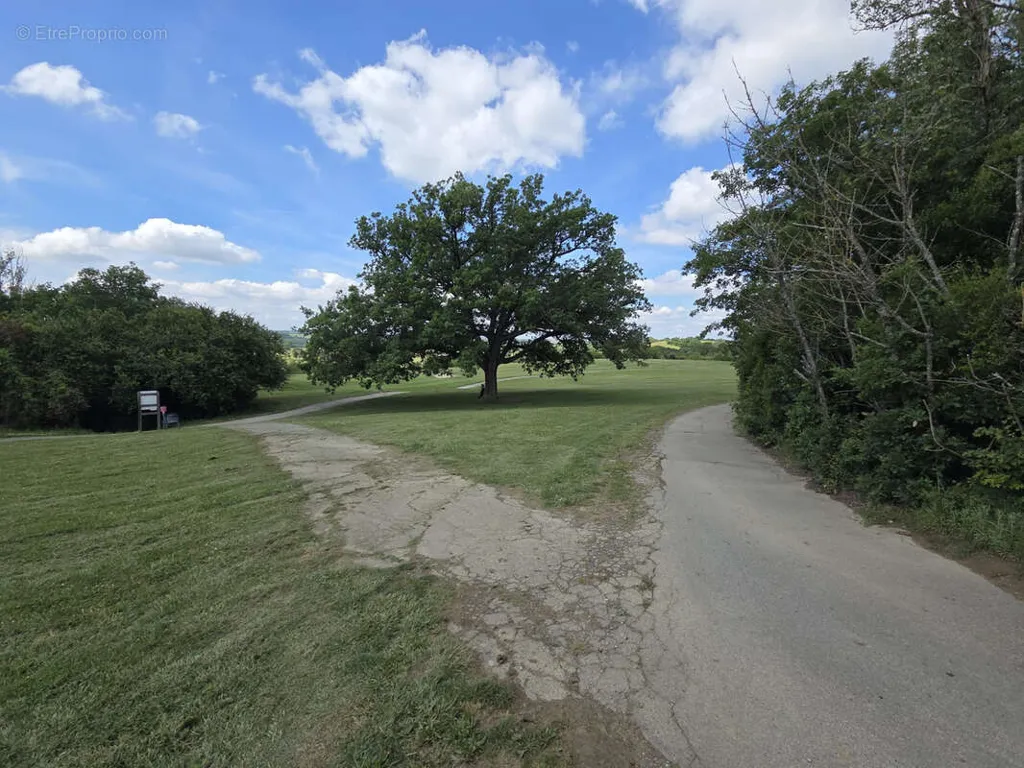 Aed - Charming Property with Golf Access in Dremil-Lafage
