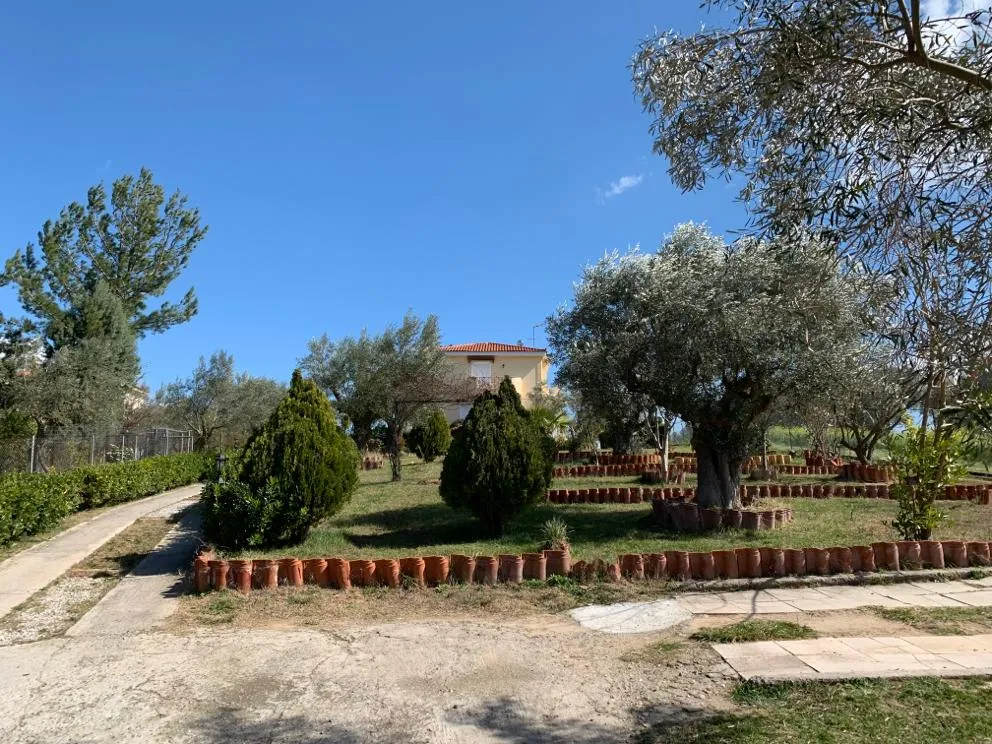 Jardin - Villa with 3 Houses in Oropos