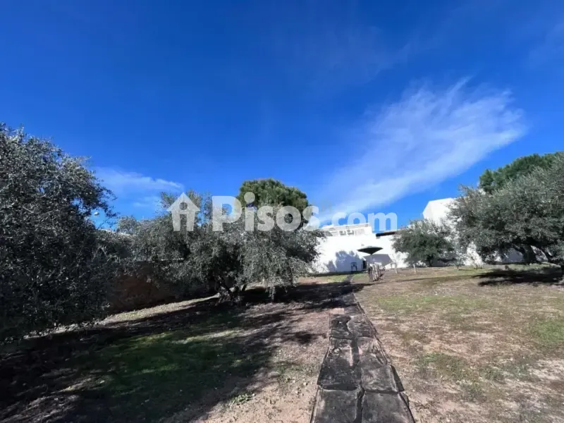 Garden - Rustic House with Garden in La Atalaya