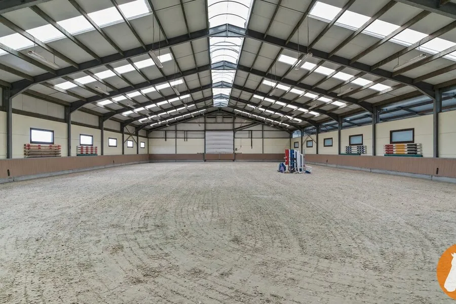 Toad - Equestrian Facility with Villa in Mechelen