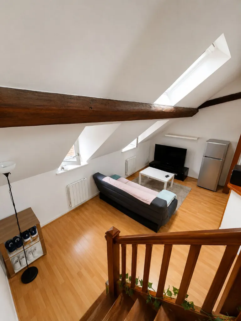 Toad - Bright 3-Bedroom Apartment in Dijon Centre