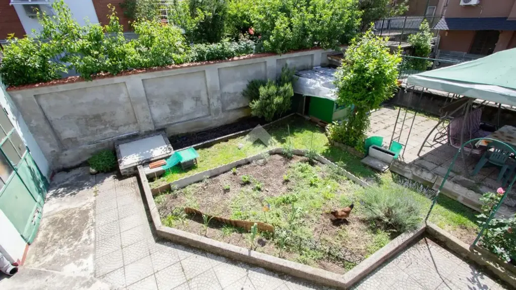 garden