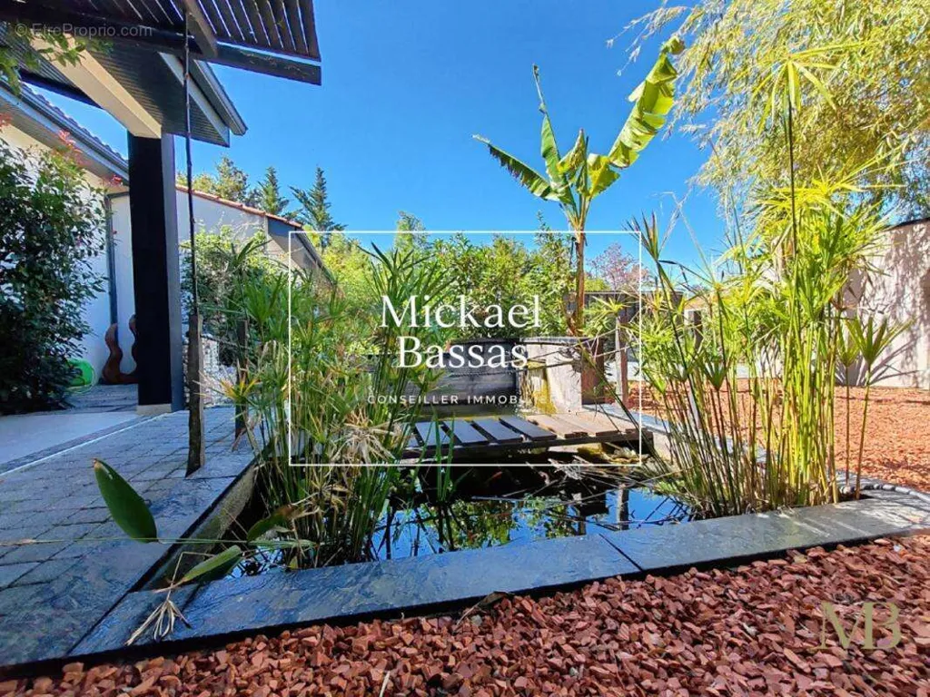Jardin - Villa Contemporaine avec Piscine à Rigarda
