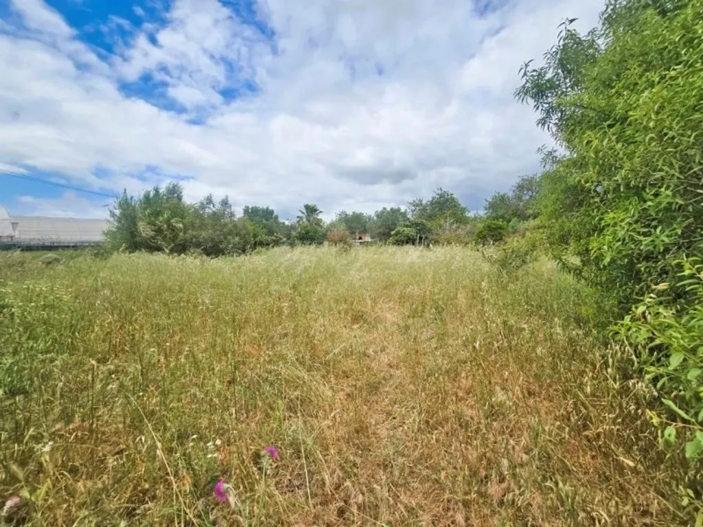 Jardin - Cottage with Rehabilitation Potential near Tavira