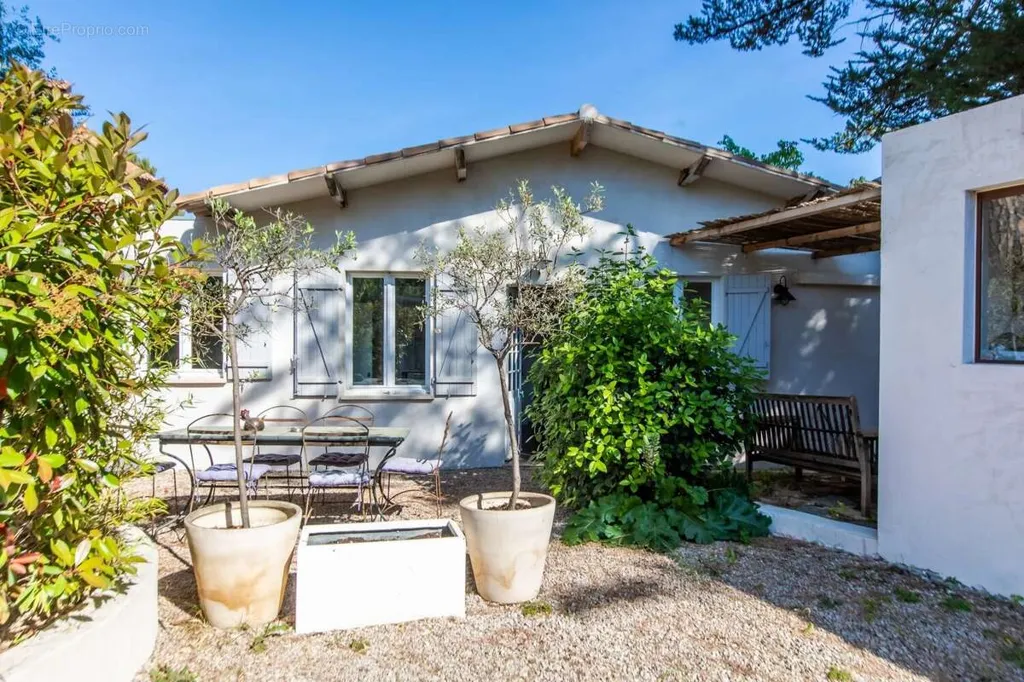 Terrass - Villa with Pool and Garden in Cannes
