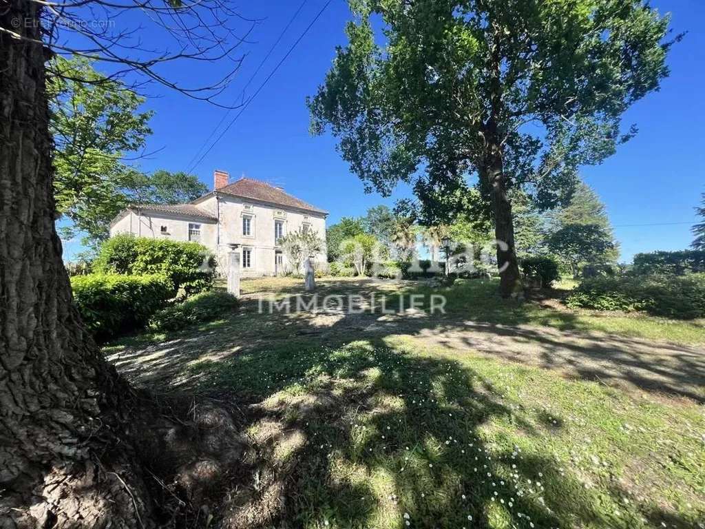 Extérieur - Maison de Maître avec Dépendances à Castelnau-d’Auzan-Labarrère
