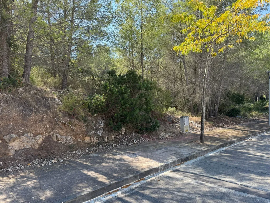 Aed - Buildable Plot in Mas Alba, Sant Pere de Ribes