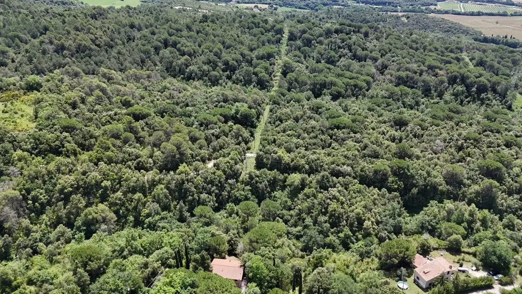 Õhuvaade - Chalet with Private Forest in Sant Aniol de Finestres