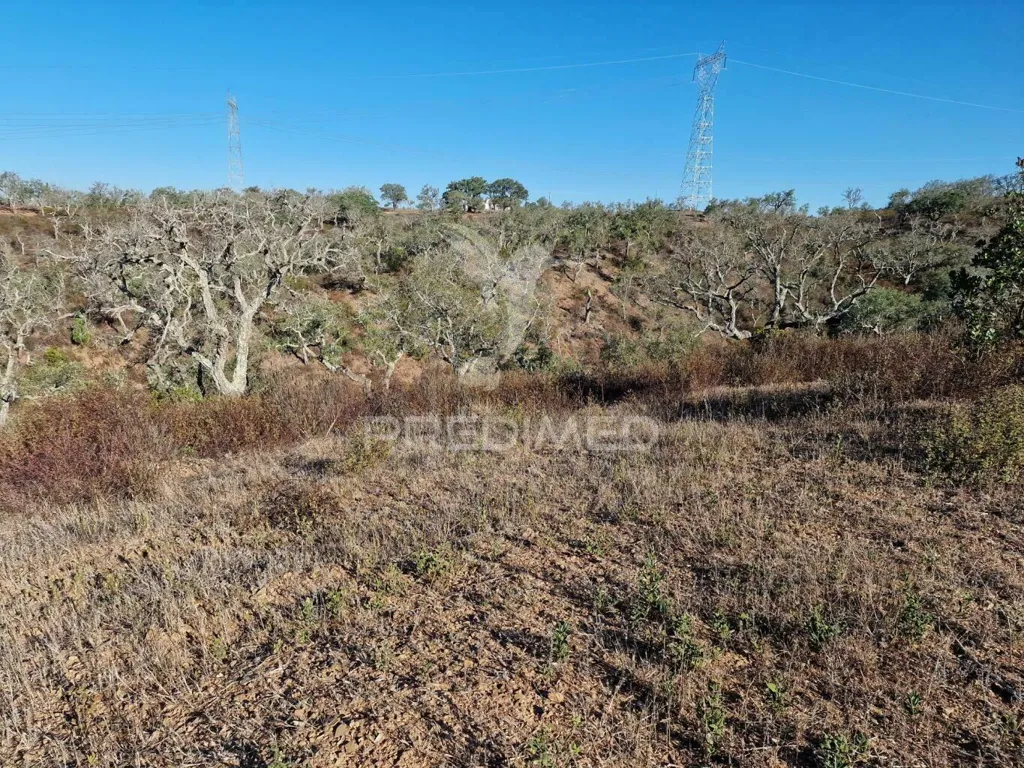 Jardin - Ruin with Construction Potential in São Francisco da Serra
