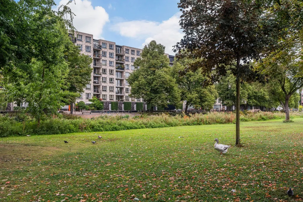 3-toaline korter asukohas Rotterdam