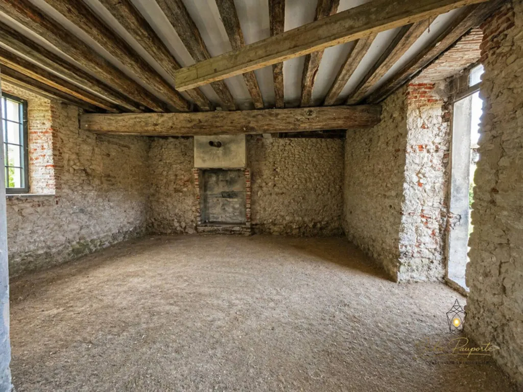 Toad - Character House with Renovation Potential in Mormant-sur-Vernisson