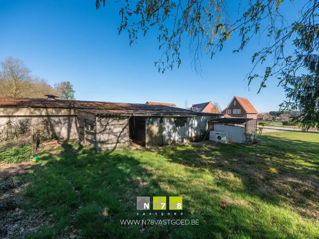 Jardin - Maison libre de plain-pied avec jardin à Maaseik