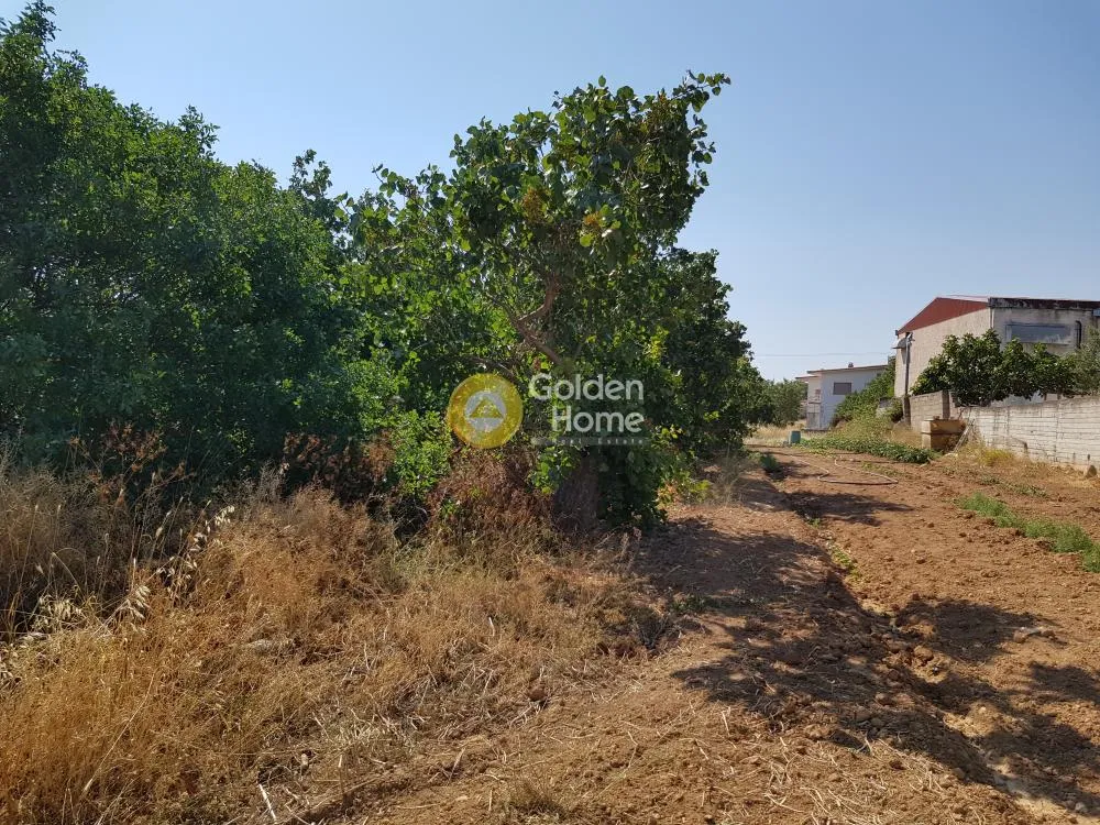 Aed - Plot for Development with Mountain View in Neos Koutavas