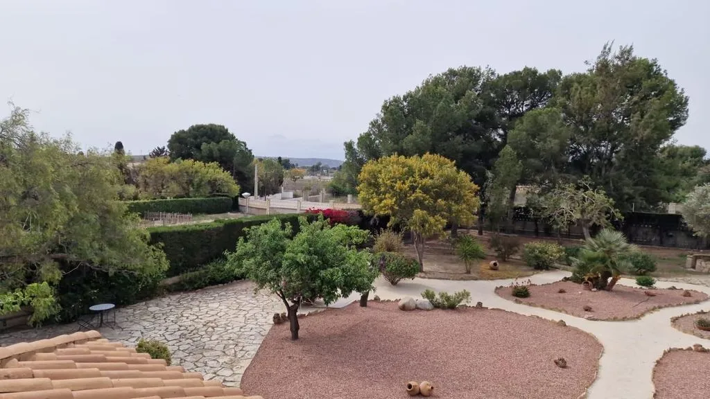 Jardin - Luxury Villa with Garden in Mutxamel
