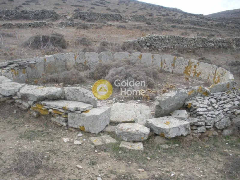 Aed - Agricultural Plot with Mountain View in Thinos