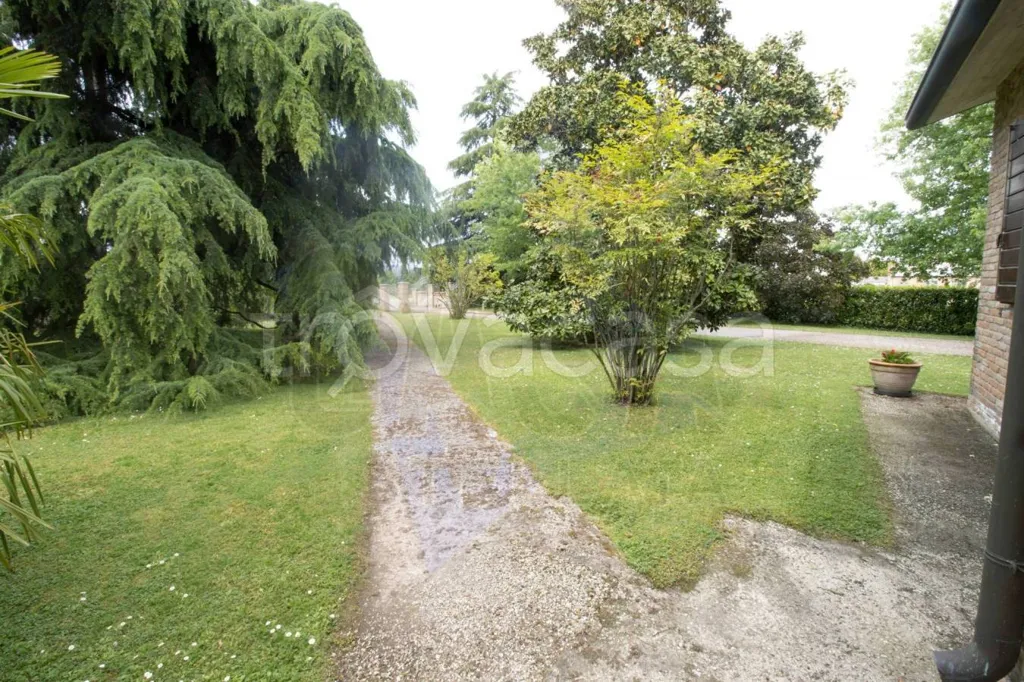 Jardin - Rustic Villa with Garden in Riva del Po