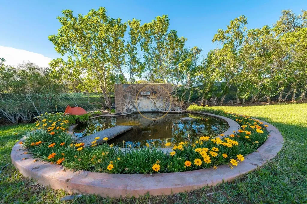 Aed - Luxury Villa with Pool in Quarteira