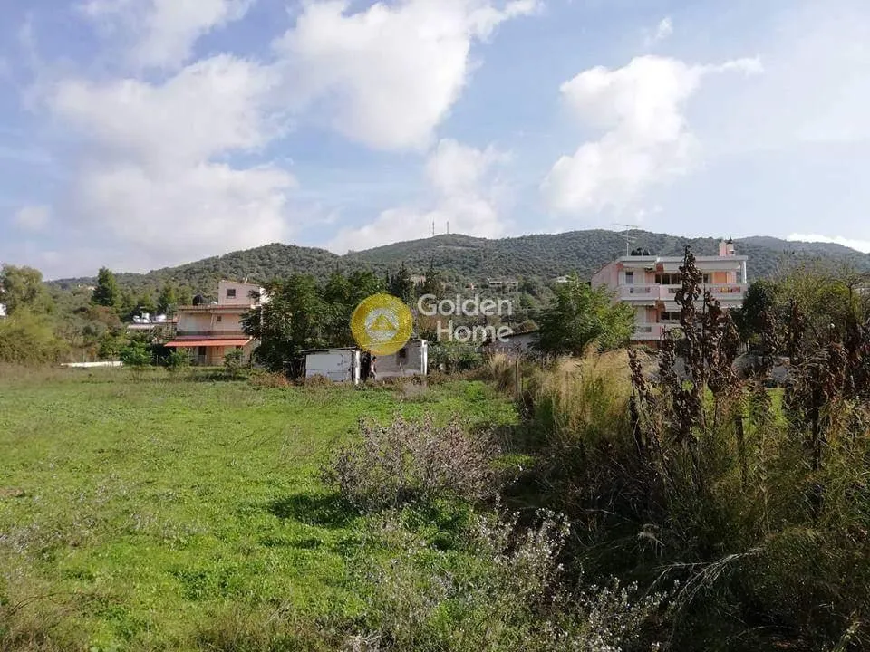Jardin - Terrain à GR