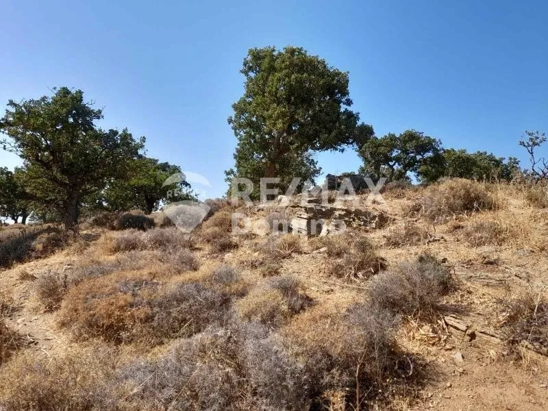 Jardin - Farmhouse with Sea View in Perama