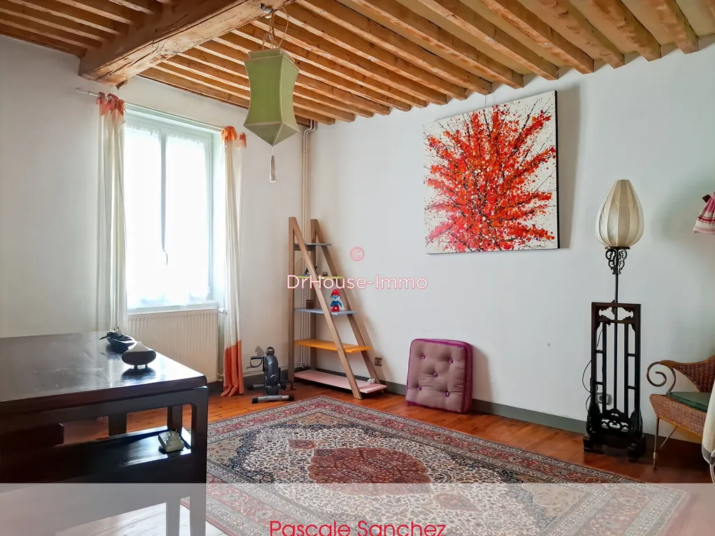 Elutuba - Historic House with Garden in Clermont-Ferrand Centre