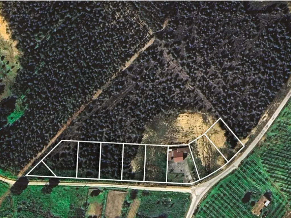 Õhuvaade - Development Land with Infrastructure in Torres Vedras