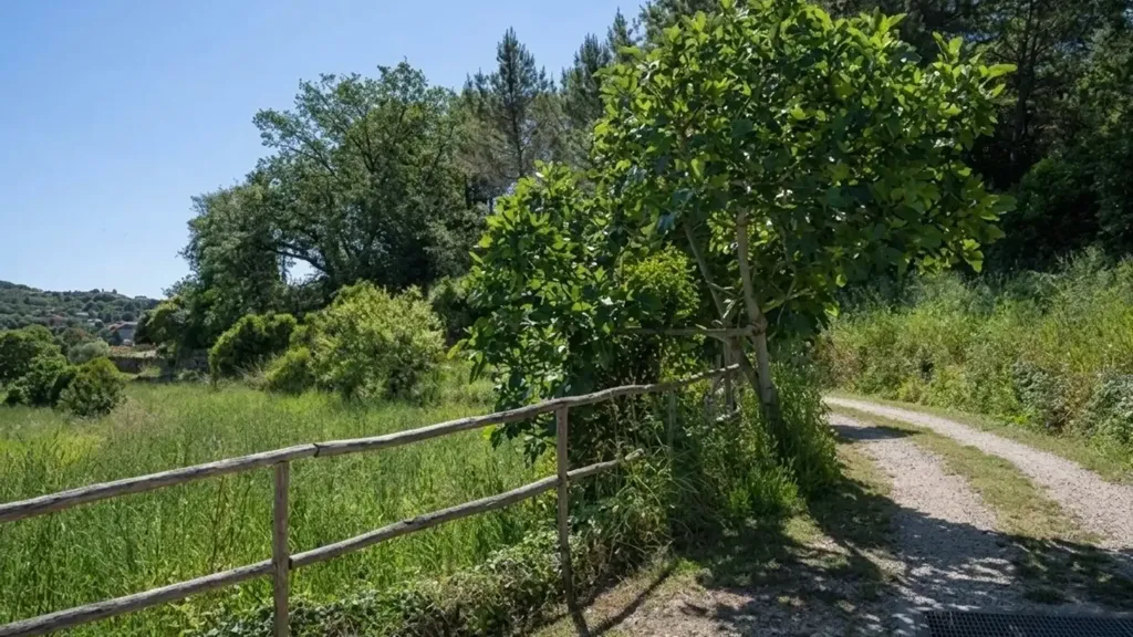 Jardin - Restored Stone Villa with Terrace in Imperia