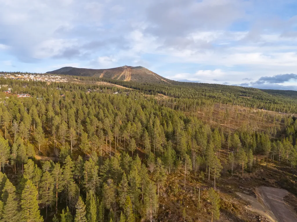 Plot with Ski Access in Härjedalen