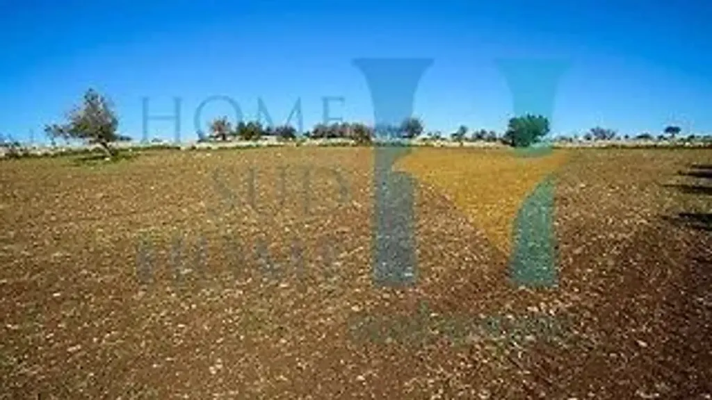Aed - Rustic House with Olive Grove in Noto