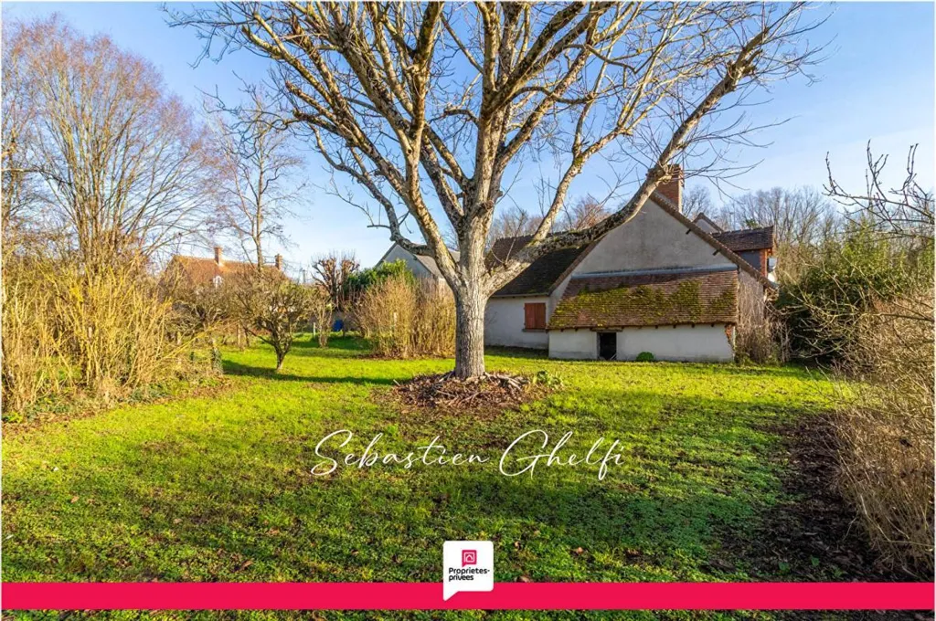 Giardino - Charming House with Cathedral Ceiling in Sologne
