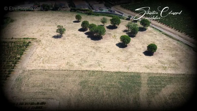Vue aérienne - Terrain Viabilisé pour Activité Artisanale à Alignan-du-Vent
