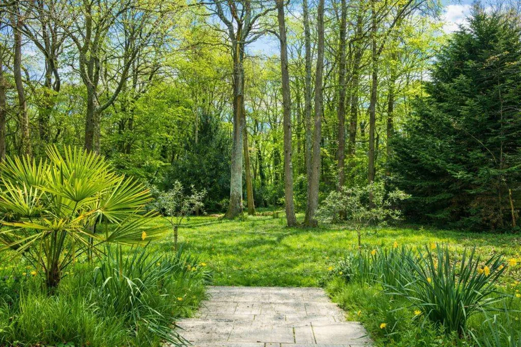 Aed - Boisée House with Garden in Montbazon