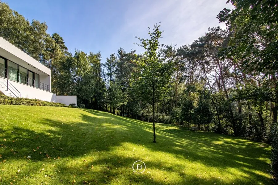 Jardin - Villa Moderniste avec Technologie Avancée à Bolderberg