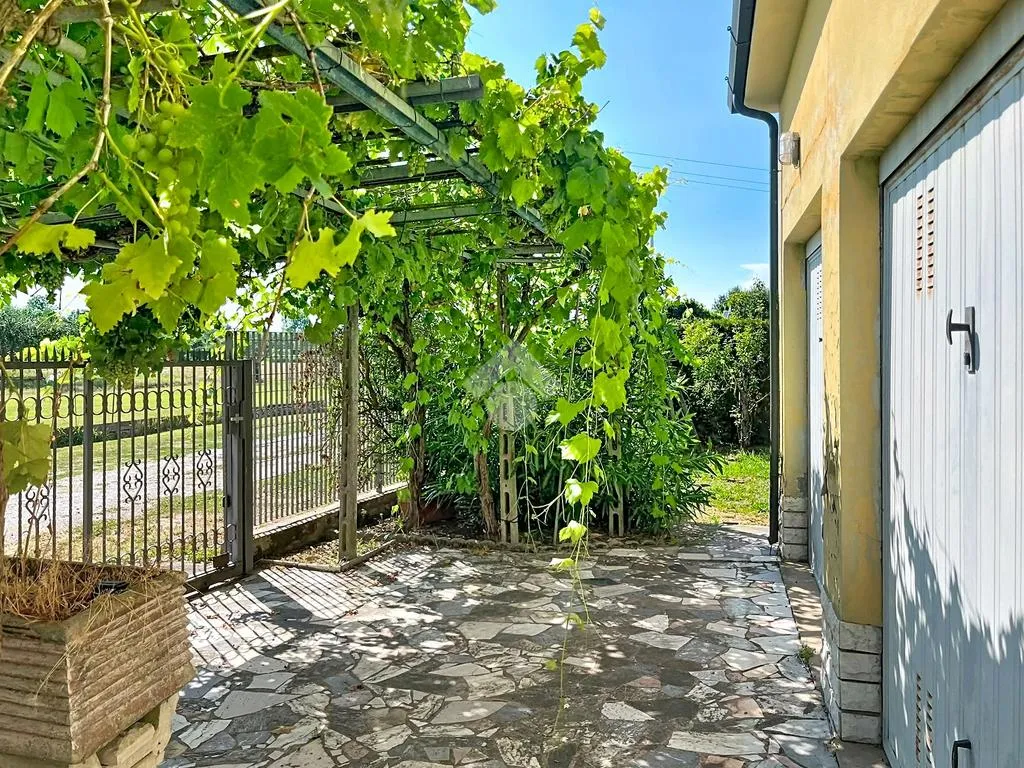 Jardin - Duplex Villa with Garden in Madonna dell'Acqua