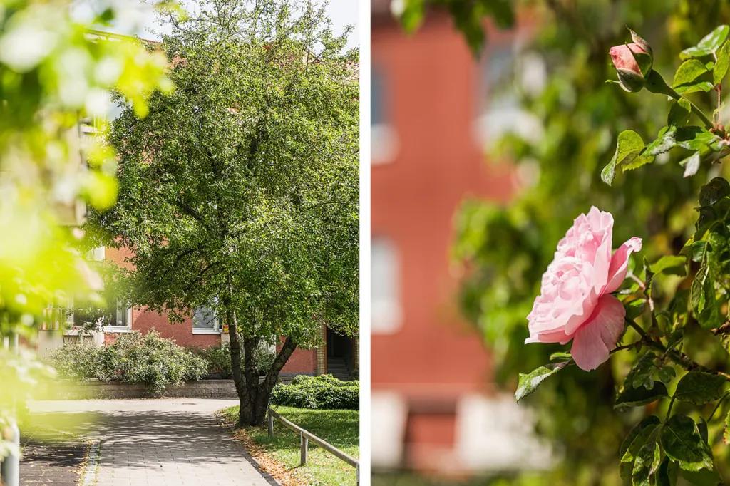Aed - Efficient Flat with Garden in Malmö