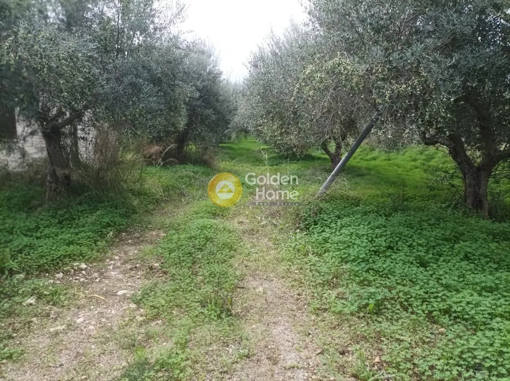 Aed - Buildable Plot with Sea View in Aprovouna, Chania