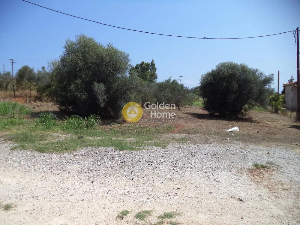 Aed - Plot with Sea View in Akrotiri, Syllion