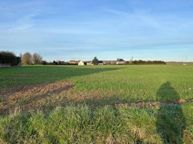 Toutes les photos (3) - Terrains à Bâtir Viabilisés près de Senlis