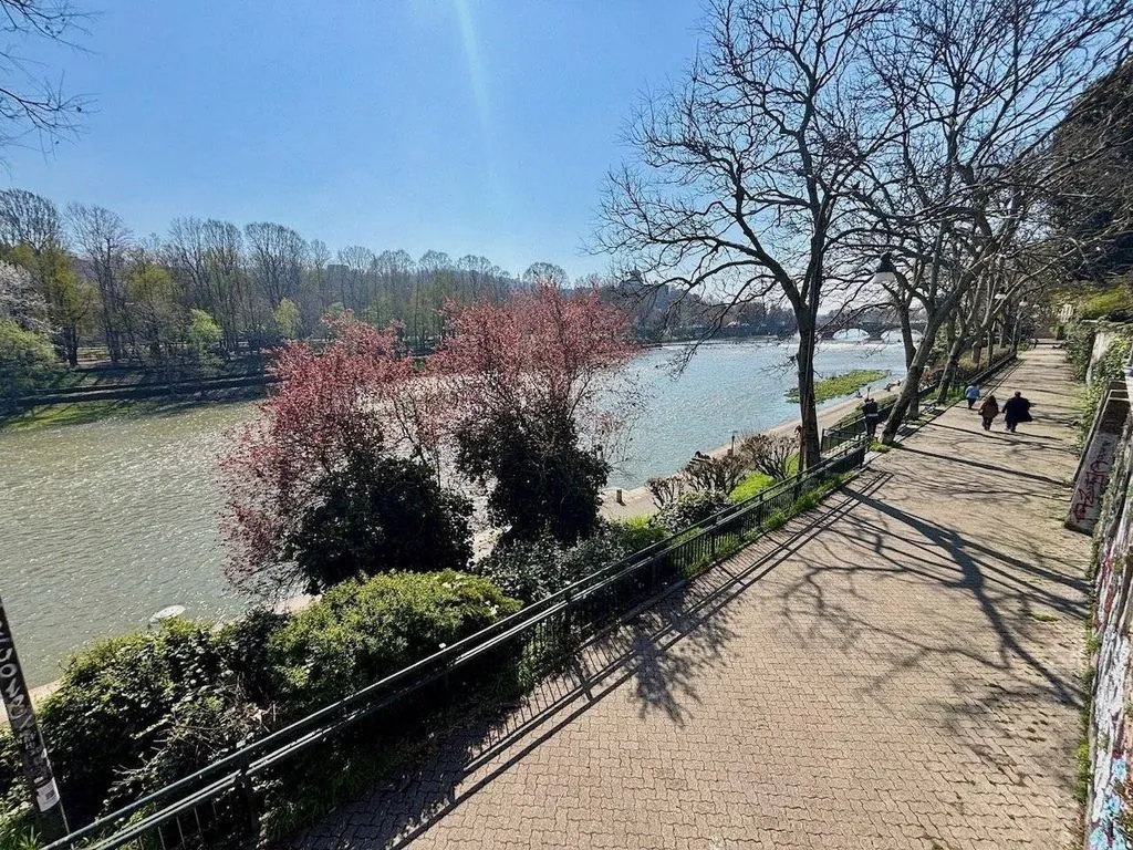 Luxury Flat with River View in Turin