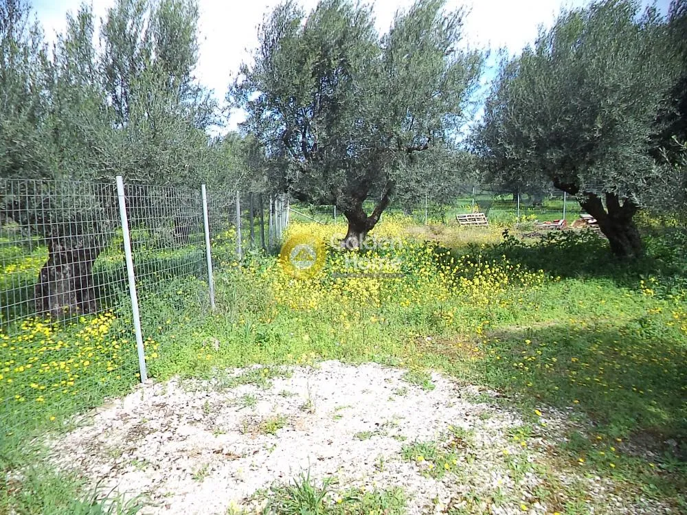 Jardin - Acreage with Sea View in Akrotiri