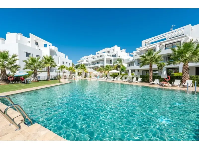 Piscine - Luxury Duplex with Sea Views in Estepona